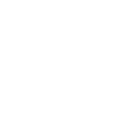 Gavel icon