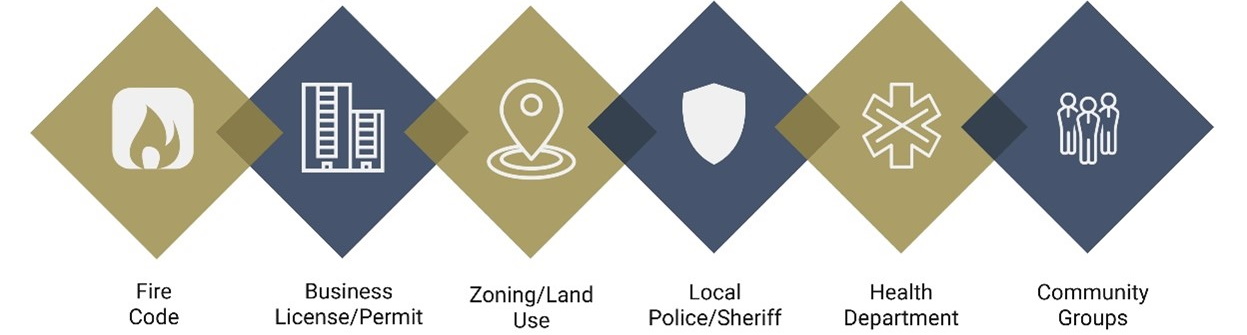 Local government agency structure