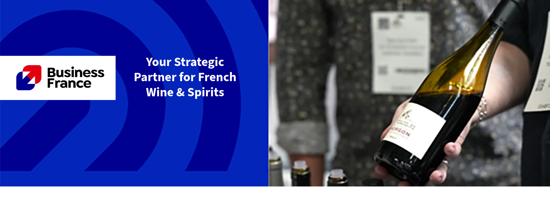 Member Spotlight: Business France